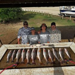 12 redfish caught in Elmendorf fishing