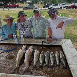 8 redfish caught by 5 people in Elmendorf