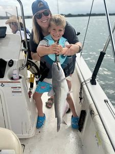 Blue catfish catch on fishing boat in Elmendorf TX