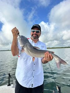 Blue catfish caught while fishing in Elmendorf TX