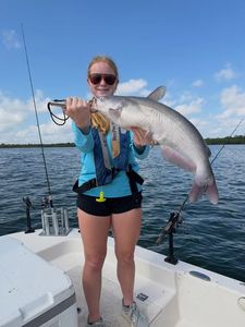 Blue catfish caught while fishing in Elmendorf TX