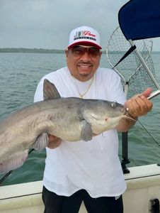 Blue catfish catch from fishing trip in Elmendorf TX