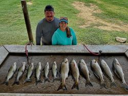 11 blue catfish, redfish, and redfish caught on fishing trip in TX