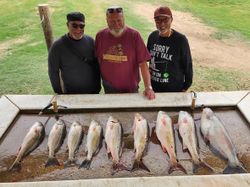 Fresh caught blue catfish and redfish displayed on cleaning table in Elmendorf TX