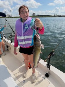 Channel catfish catch on fishing boat in Elmendorf TX