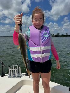 Redfish caught while fishing in Elmendorf TX