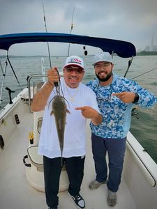 Fishing trip on boat in Elmendorf TX with caught fish displayed