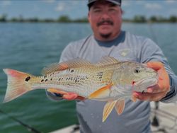 Redfish caught fishing in TX