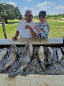 Fishing catch of multiple fish species displayed on cleaning table in Elmendorf TX