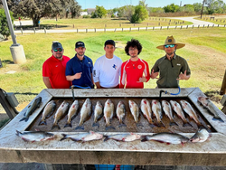 Nine big blue catfish caught while fishing in Elmendorf