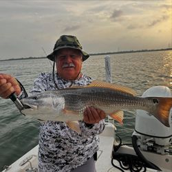 Redfish caught in TX