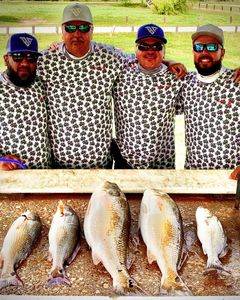 A group of 5 redfish, a type of fish, being caught by 4 people in Elmendorf