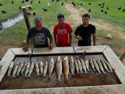 Seven redfish caught during a fishing trip in Elmendorf