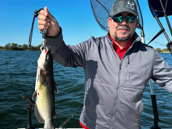 White Catfish caught in Elmendorf