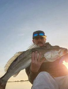 Cooler weather means BIG Trout