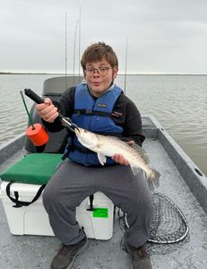 Spotted Weakfish, 17 inches, fishing in TX
