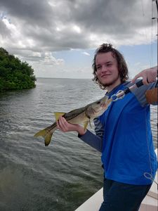 Tampa Bay snook on the line!