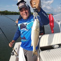 Redfish action near the mangroves