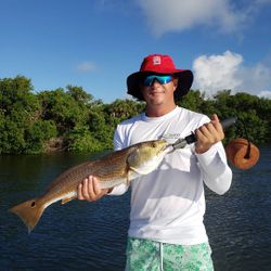 Tampa’s summer redfish session