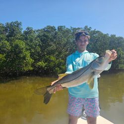 Big catch in Tampa’s shallow flats