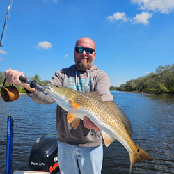 Redfish caught in FL