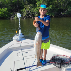 Redfish caught in Tampa, Florida
