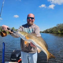 Redfish caught during cruises and fishing trip in FL