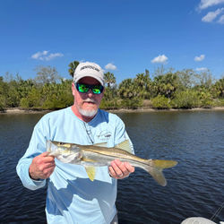 Snook fish caught in Tampa, Florida