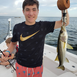 Snook fish caught during cruises and fishing trip in FL