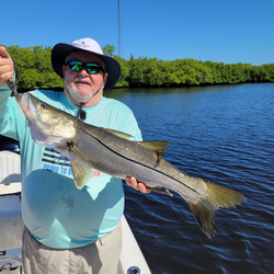 Snook, a 24-inch fish, caught in Tampa, Florida during a fishing cruise