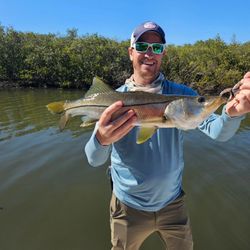 A photo of a snook fish caught during a fishing trip in Tampa