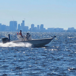Breathtaking Tampa cruises and fishing adventures