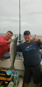 Coho Salmon, 27-inch fish caught while fishing in Oakville