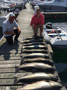 Three impressive fish caught by two people in Oakville