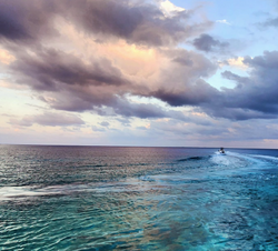Spot Bay water sports and fishing tours