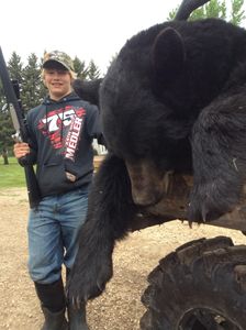 Massive black bear, proud hunter.