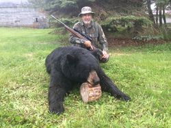 Mature black bear, successful hunt.
