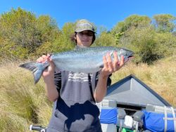 good size Oregon Salmon