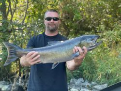 large native Salmon from Gold Beach, OR