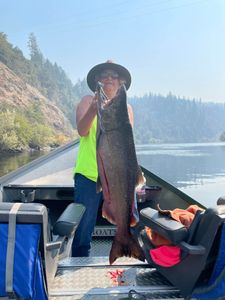 caught Chinook Salmon from waters of Oregon