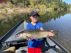 Chinook salmon caught in OR