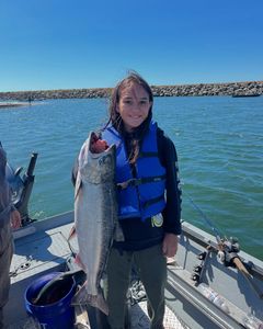 Coho Salmon caught while fishing in Grants Pass