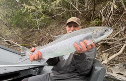 Coho salmon caught while fishing in Grants Pass Oregon
