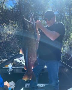 Angler fishing at Grants Pass