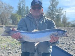 Fishing in OR with 1 big fish