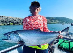 A single rainbow trout caught in OR, fishing