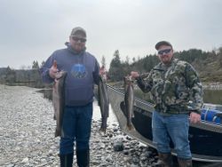 Three large fish caught while fishing in Oregon