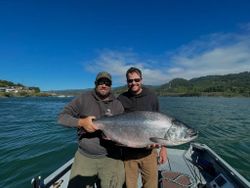 A single Chinook Salmon, a 32-inch fish, caught while fishing in OR