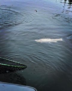 Fishing in the great outdoors of OR