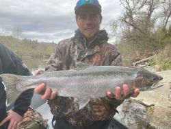 Rainbow Trout fishing in Grants Pass
